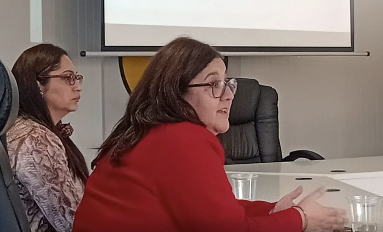 Fundación Tierra de Esperanza realizó capacitación sobre prevención y abordaje oportuno de la ESNNA en Curanilahue